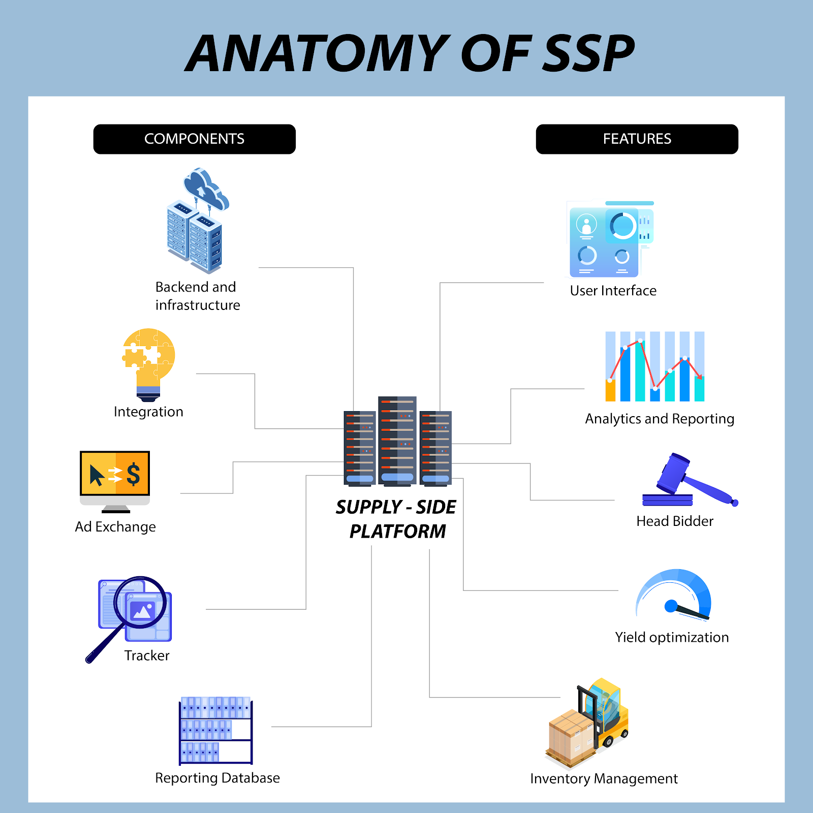 anatomy of ssp